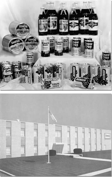 Juice products