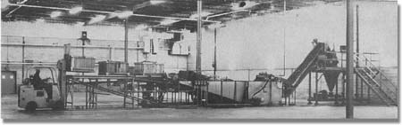 Apple processing