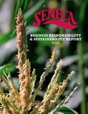 Responsibility Report Download