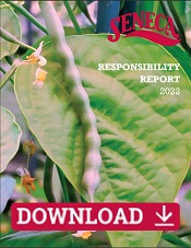 Responsibility Report Download