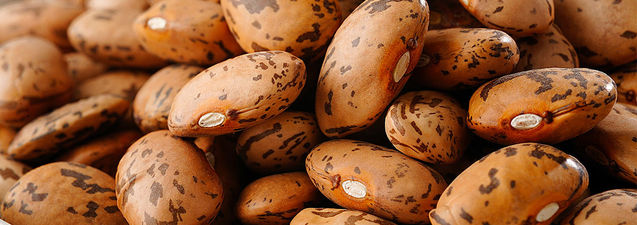 higo tinto l carnitina 🔥 Reducción de Grasa: Combina el poder del Higo Tinto con L-Carnitina, Guaraná, Garcinia, Diente de León y Pimienta Negra para potenciar la quema de grasa y mejorar tu figura., 🌟 Mejora tu Figura y higo tinto l carnitina 🔥 Reducción de Grasa: Combina el poder del Higo Tinto con L-Carnitina, Guaraná, Garcinia, Diente de León y Pimienta Negra para potenciar la quema de grasa y mejorar tu figura., 🌟 Mejora tu Figura y