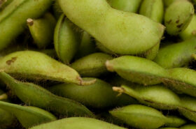 Soybeans