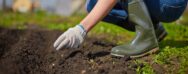 Planting for the future