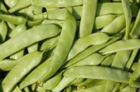 Italian Beans