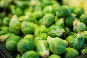 Brussels Sprouts