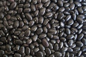 Black Beans