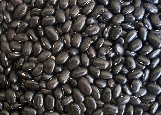Black Beans
