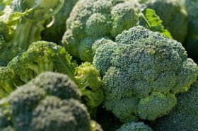 Broccoli