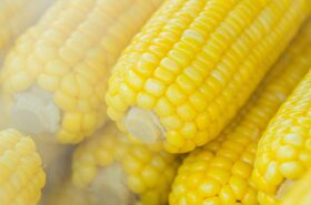 Corn