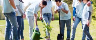 Community Involvement