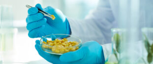 Food Safety Inspection