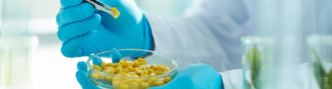 Food Safety Inspection