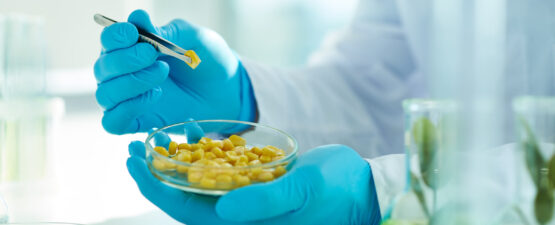 Food Safety Inspection