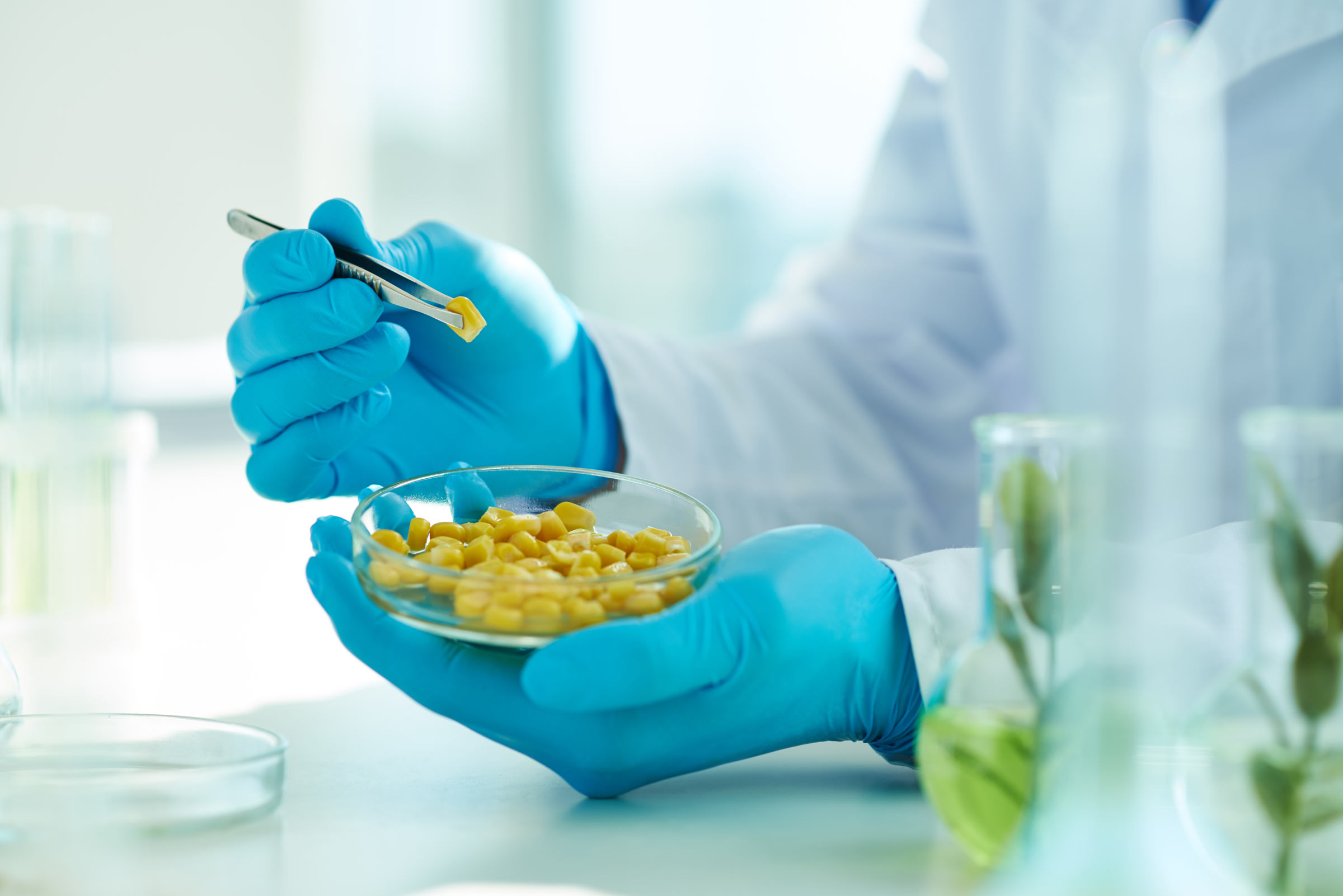 Food Safety Inspection