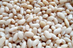 Great Northern Beans