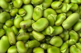 Lima Beans