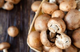 Mushrooms