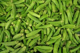 Okra