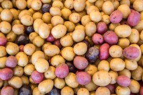 Potatoes