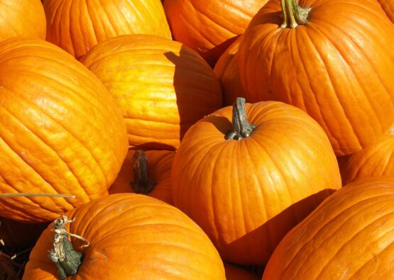 Pumpkin