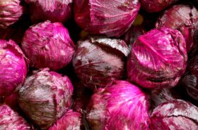 Red Cabbage