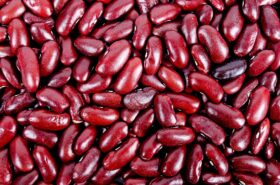 Red Idaho Beans