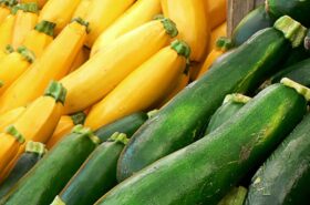 Squash