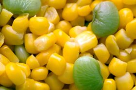 Succotash