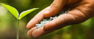 Sustainability