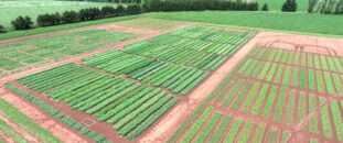 Seed Research