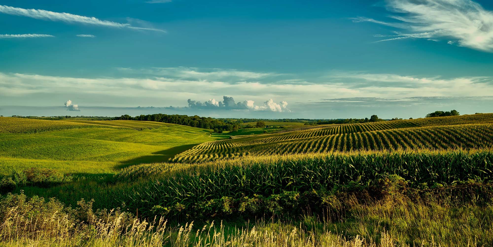 Farmfields