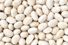 Navy Beans